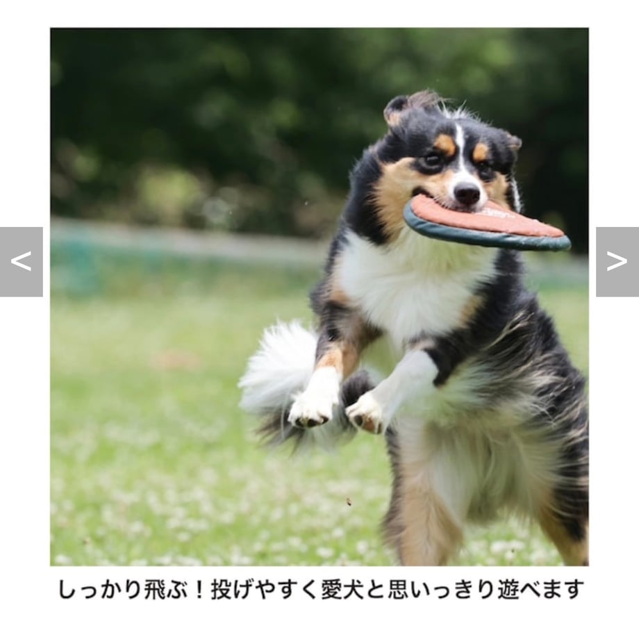 692114beff119b641d28fd01