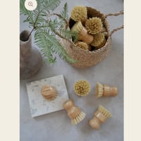 【mellowbear】ワンちゃん用食器洗いブラシ　プラスチックフリー