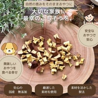 【しっぽとまなざし】栄養満点サンふじりんご（犬用）