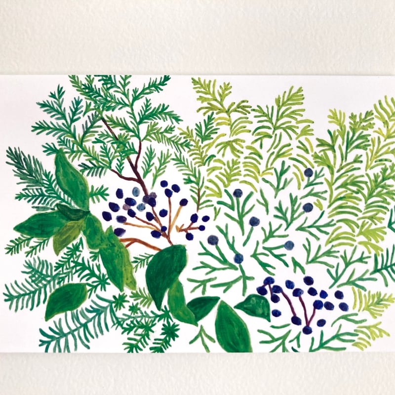 POST CARD 森の香り | Fluffy socks