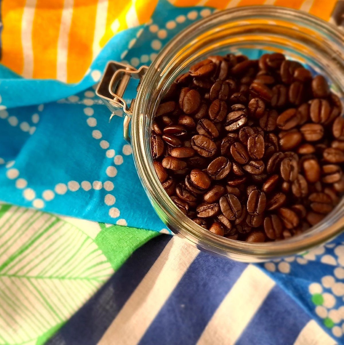 水洗い焙煎【エチオピア】イルガシェフェ・WOTE G1 Natural(JAS認証