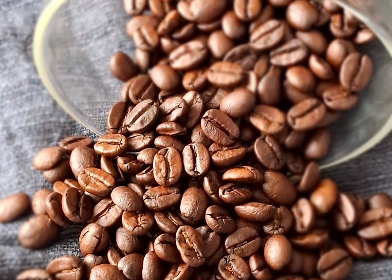 通常焙煎【ブラジル】セラード・シンコエストレーラ農園Natural(JAS