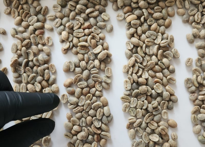 水洗い焙煎【エチオピア】イルガシェフェ・WOTE G1 Natural(JAS認証