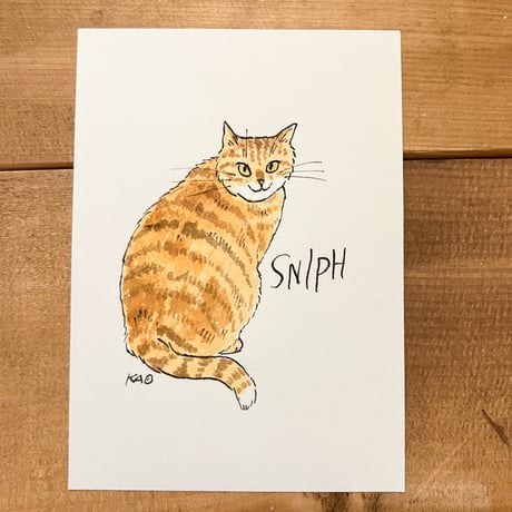 イラストオーダー専用ページ イラストリクエストオーダー＊専用ページ