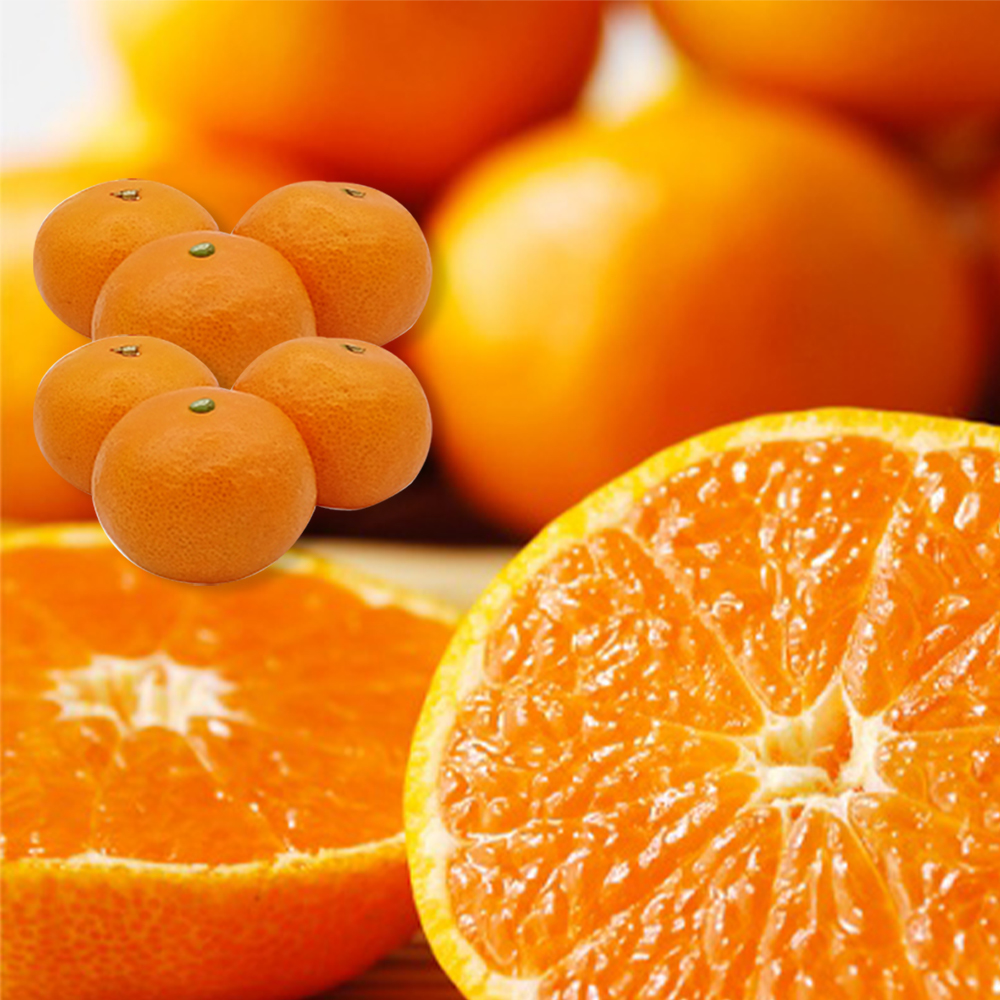 ☆ みかん☆ 21316 5kg 熊本県産 不動岩果樹園のみかん（S～Lサイズ混合