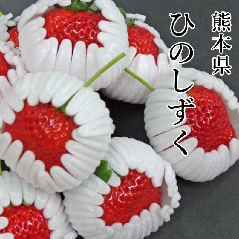 ひのしずく 熊本県産 ごだわり いちご (約1kg 1箱) 熊本産ブランド