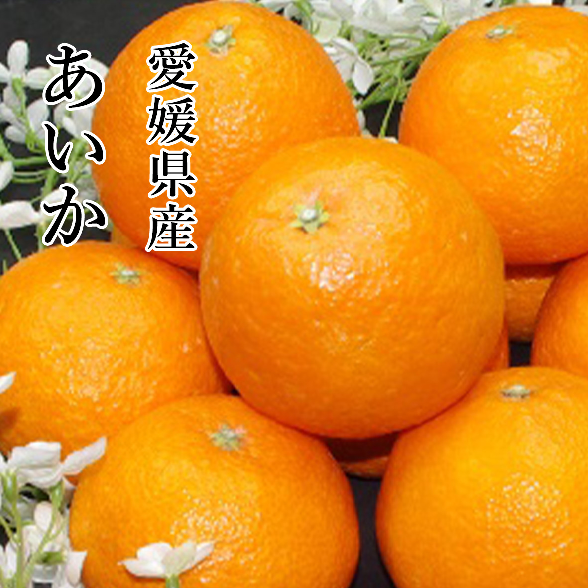 あいか 愛媛県産 ブランドみかん「紅マドンナ」と同じ品種 あいか 家庭