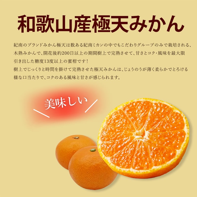 極天みかん 和歌山県産 樹上でしっかりと完熟するまで生育させた「木熟