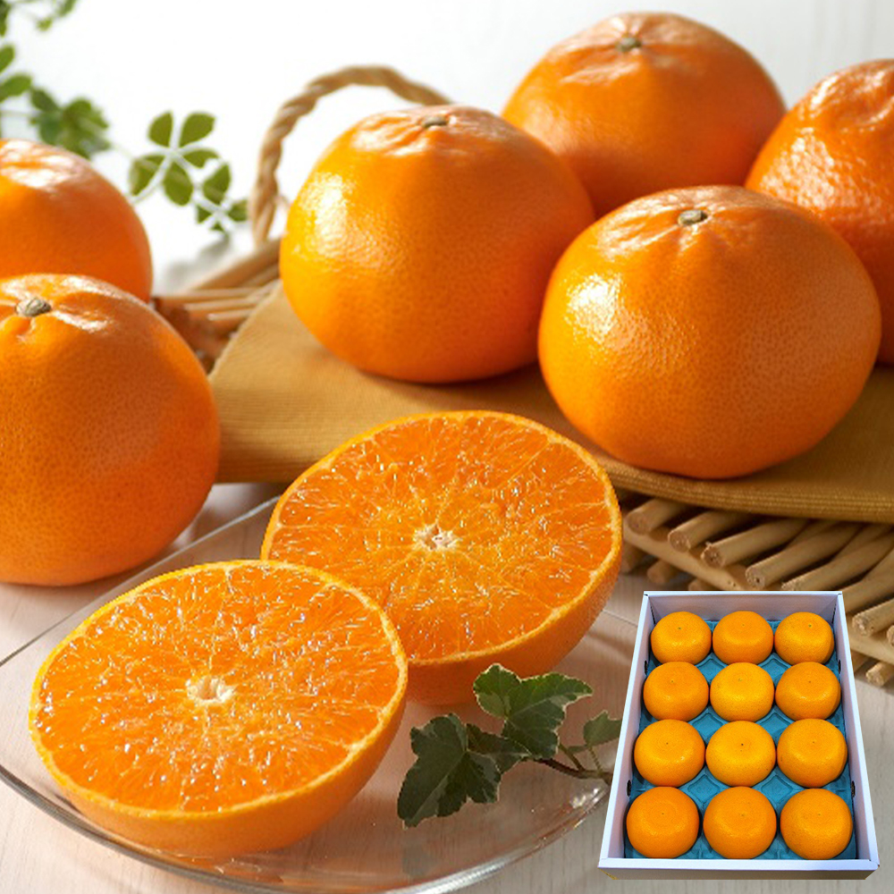 せとか 愛媛産 カンキツ類の新種 せとか 「柑橘の王様」や「柑橘の大