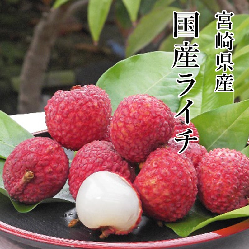 国産生ライチ 宮崎県産 鮮やかな紅色の生ライチ 生ライチの魅力は「熟