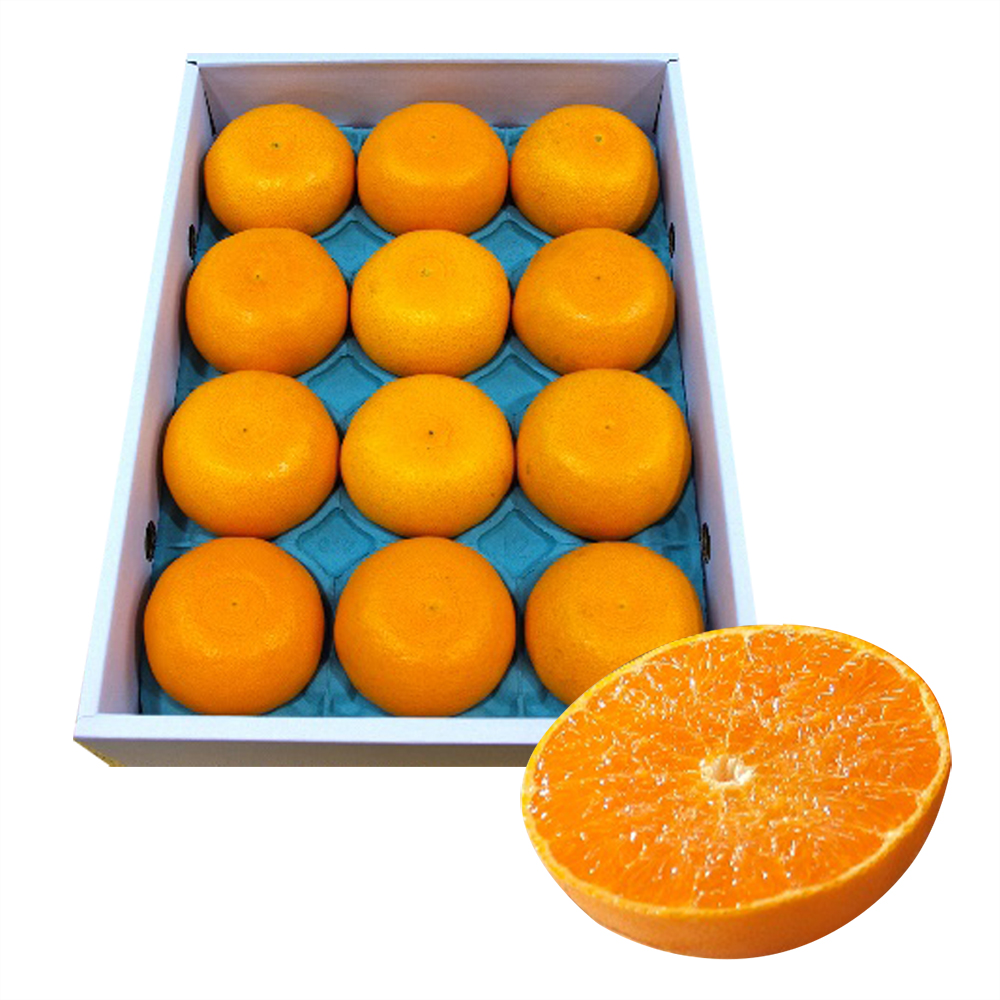 せとか 愛媛産 カンキツ類の新種 せとか 「柑橘の王様」や「柑橘の大