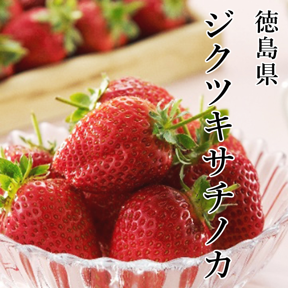 いちご 軸付きさちのか 徳島県産 (約1kg 1個箱) さちのか（枝付き）軸