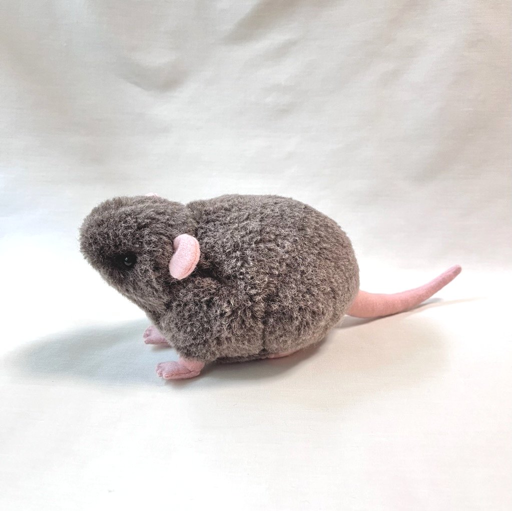 1/1ドブネズミぬいぐるみ (BR2) | massi massi hon