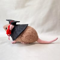 1/1ドブネズミぬいぐるみ  天才ネズミ
