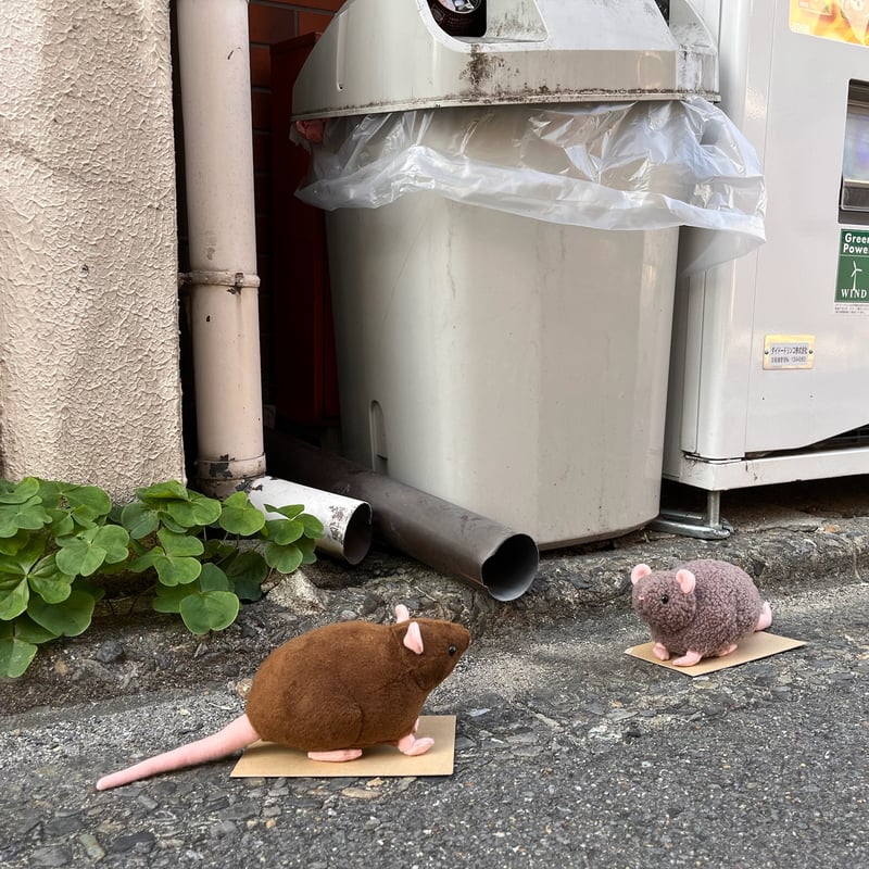 1/1ドブネズミぬいぐるみ (BR2) | massi massi hon