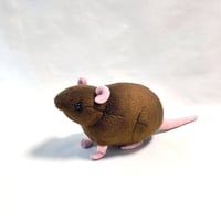 1/1ドブネズミぬいぐるみ  (BR1)