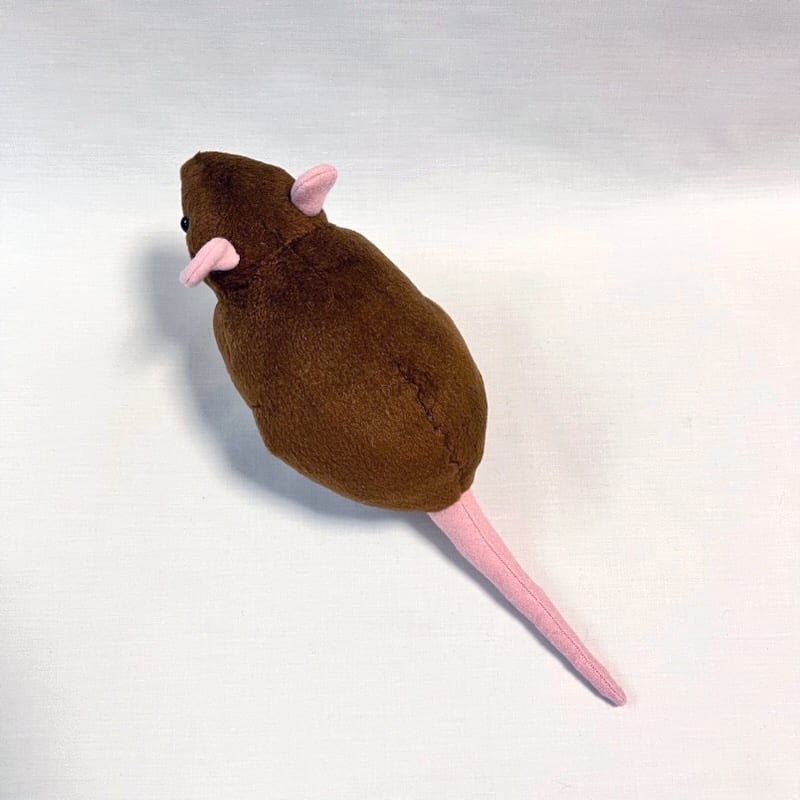 ドブネズミ 1/1ドブネズミぬいぐるみ (BR1) | massi massi hon