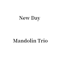 New Day Mandolin & Mandoloncello & Guitar Trio