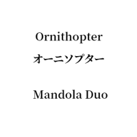 Ornithopter オーニソプター Mandola & Mandoloncello Duo