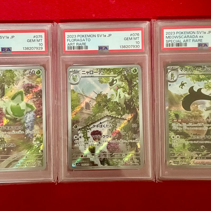 PSA10ニャローテ AR5494 【公式通販】