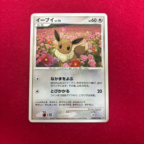 【特別特価】イーブイ　lv15