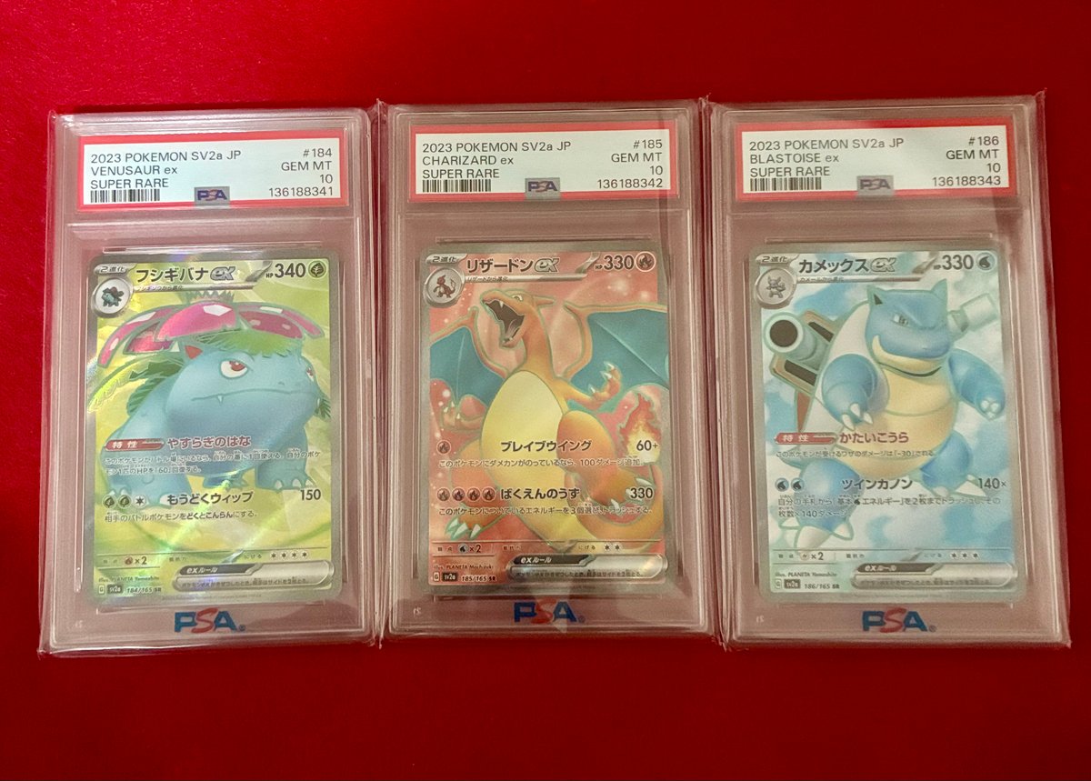 (08-360)【PSA10】バンギラス グラードン 2連番 a054f7b9fcd864d81f586638073e1a