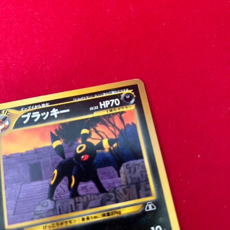 【特価】旧裏　プレミアムファイル2 ブラッキー LV.33 No.197