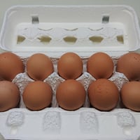 平飼い卵 30個 | 豊の国平飼い卵自然農園