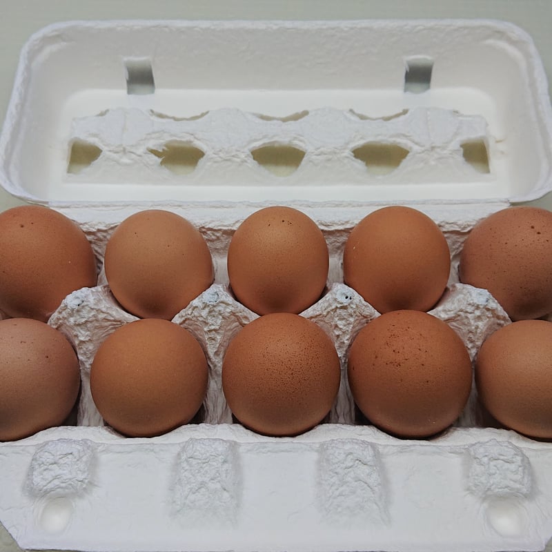 平飼い卵 30個 | 豊の国平飼い卵自然農園