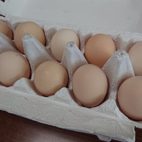 烏骨鶏卵　3０個