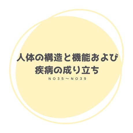 国家試験 | STORES