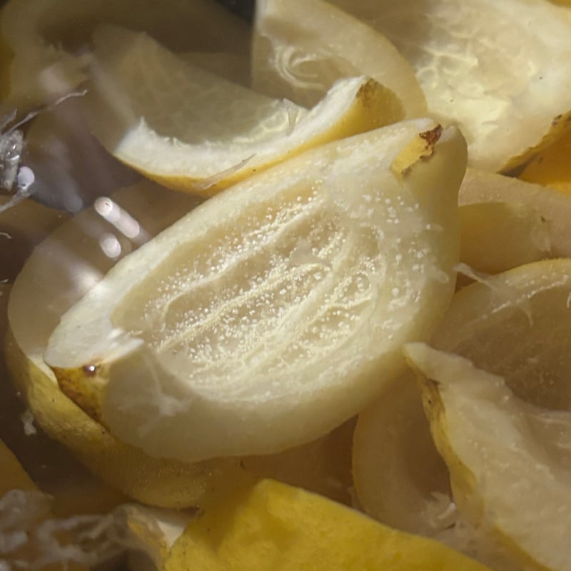 宝韶寿レモンのシトロネット | RICO KAGURAZAKA