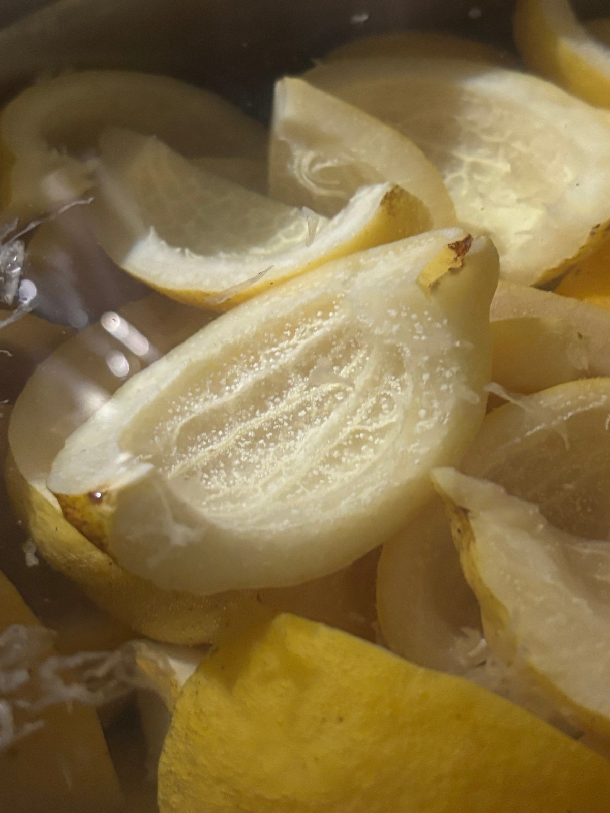 宝韶寿レモンのシトロネット | RICO KAGURAZAKA