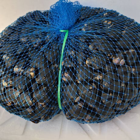 宍道湖しじみ【 LLサイズ】1kg、2kg、3kg(冷凍/砂抜き済)