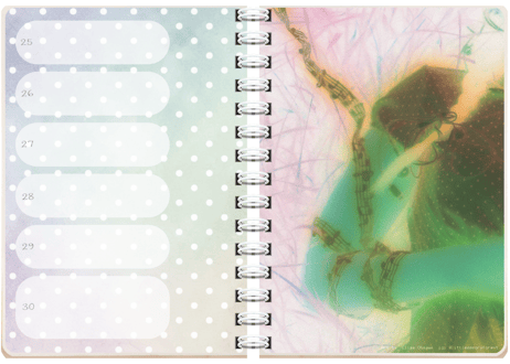 2027 Diary