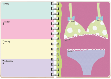 2027 Diary