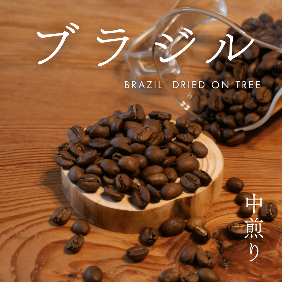 ブラジル ドライオンツリー 中煎り | 一雨珈琲