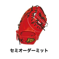 RAG de Lion セミオーダーミット
