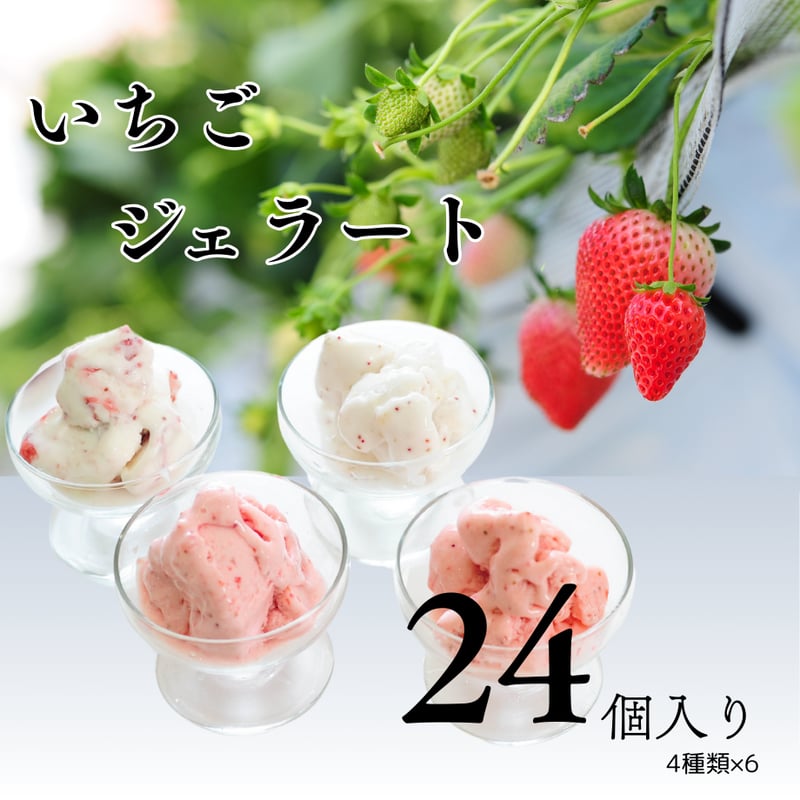 栃木の完熟いちご4種 ジェラート詰め合わせセット 24個(1個90ml）4種