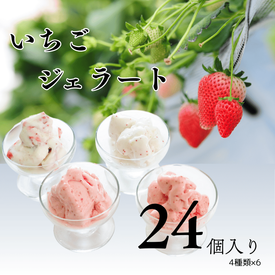 栃木の完熟いちご4種 ジェラート詰め合わせセット 24個(1個90ml）4種