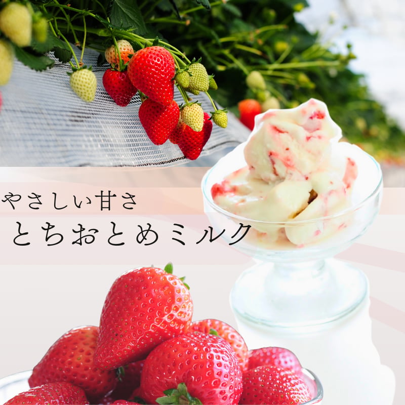 栃木の完熟いちご4種 ジェラート詰め合わせセット 24個(1個90ml）4種