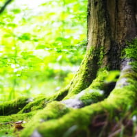 【プライベートレッスン】アイラ・メディテーション講座™(Aire Meditation)"今ここ"を感じるマインドフルネス瞑想