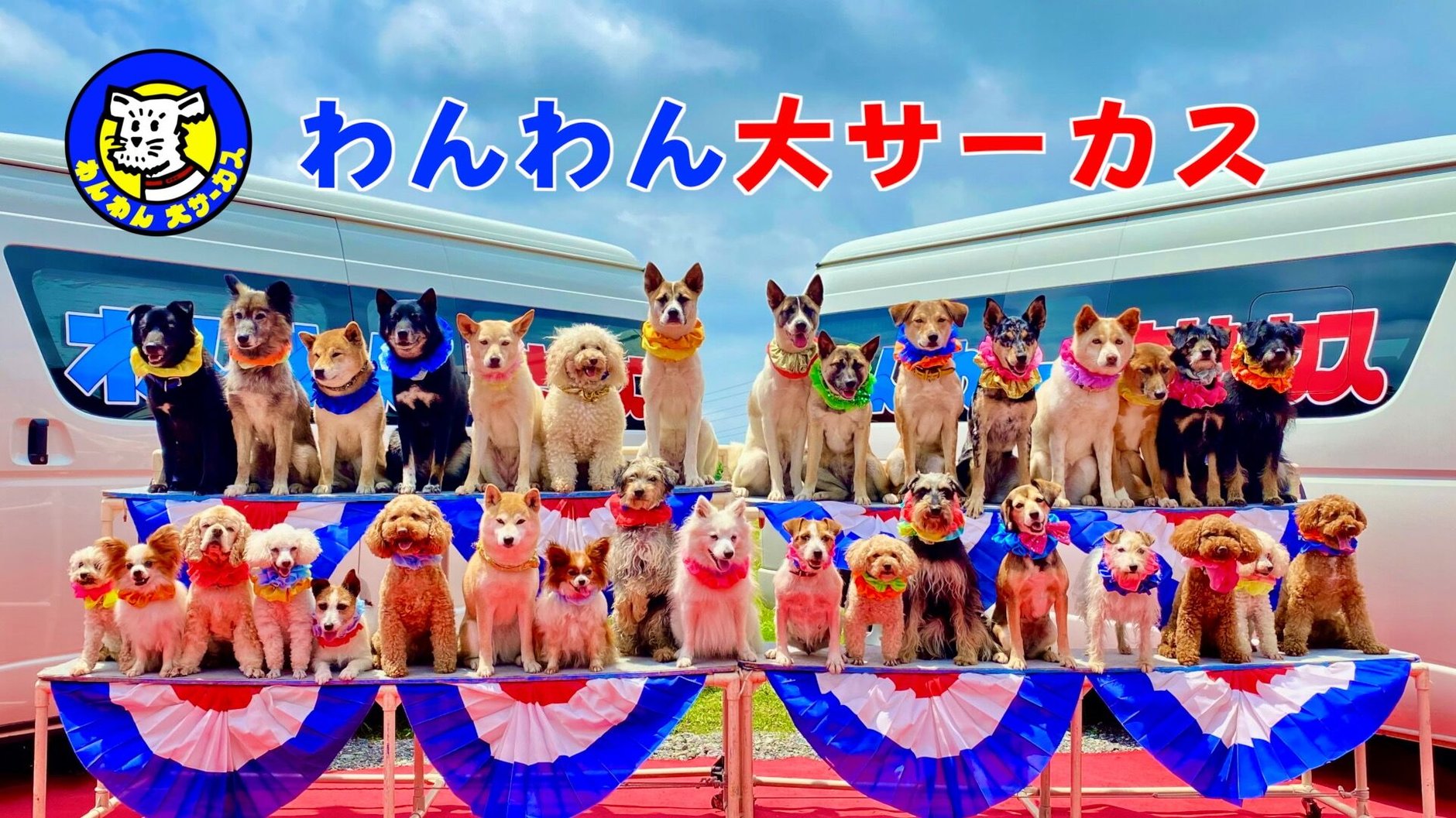 わんわんサーカス