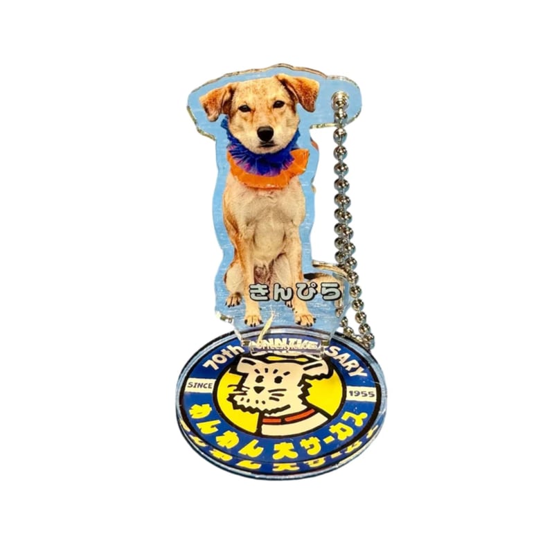 わんわんサーカス