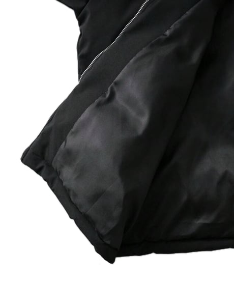 RECURRENCE DOWN JACKET