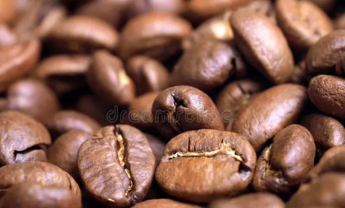 Kenya AA / ケニア AA | TSUKIKAGE COFFEE