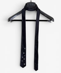 A/W 2003 DIOR HOMME “LUSTER” 7-BEE CAMPAIGN TIE