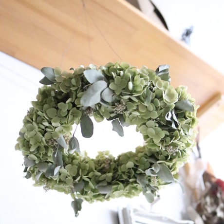 アナベルリース | STORES