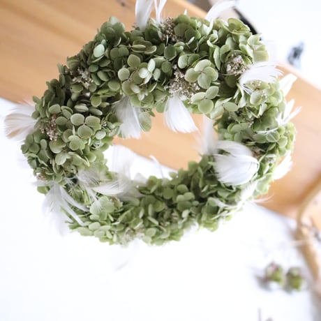 アナベルリース | STORES