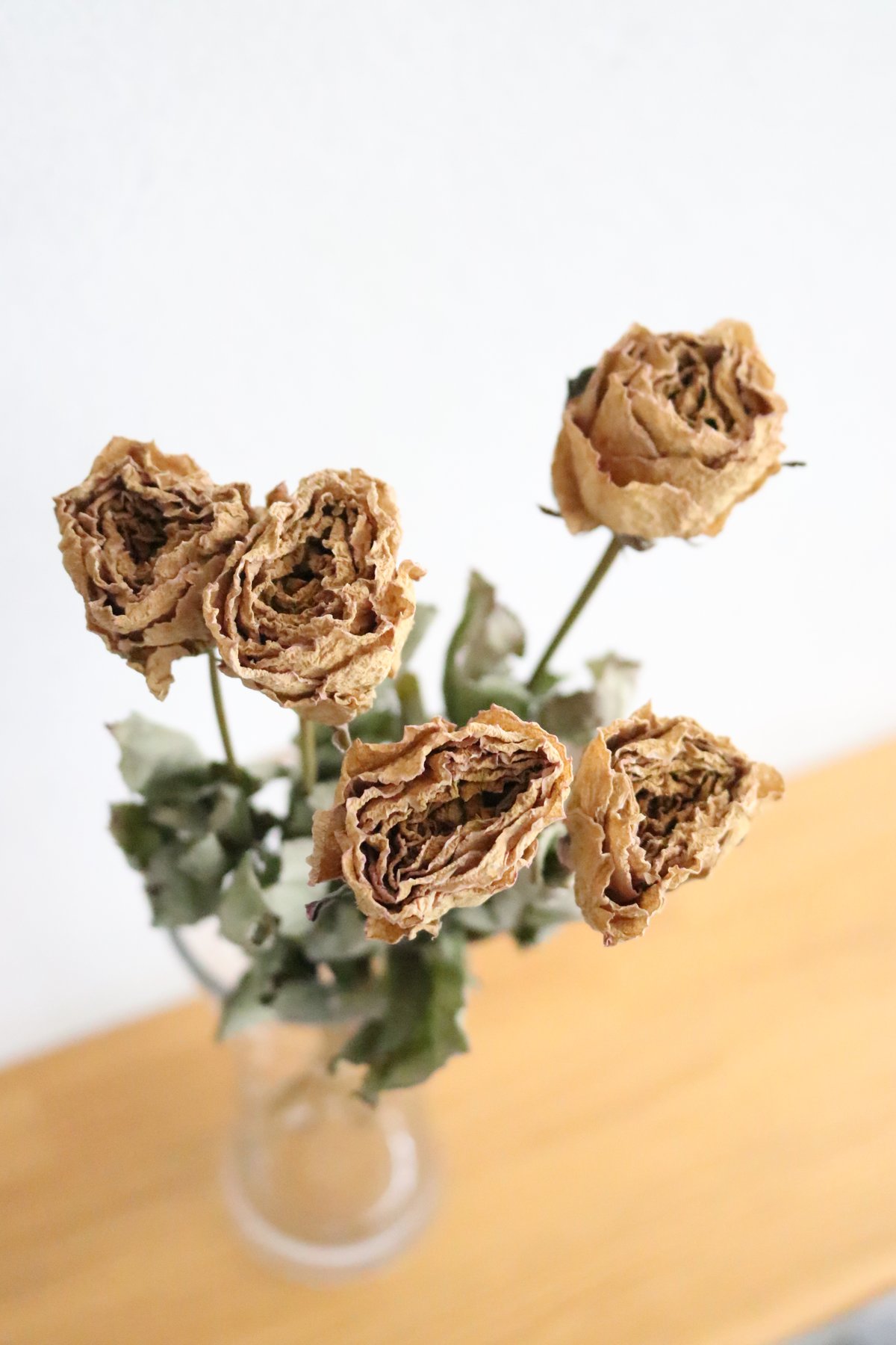 甘い香りの残るバラ5本 | Relier(ルリエ) online store